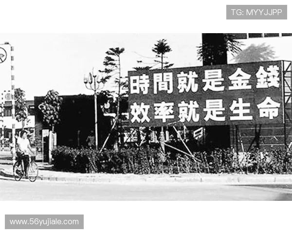 以李婉清创业传奇为核心展现新时代女性力量与变革故事奋进之旅